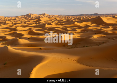 Die Sanddünen des Erg Chebbi in der Nähe der Stadt Merzouga am Rande der Sahara im östlichen Marokko. Stockfoto