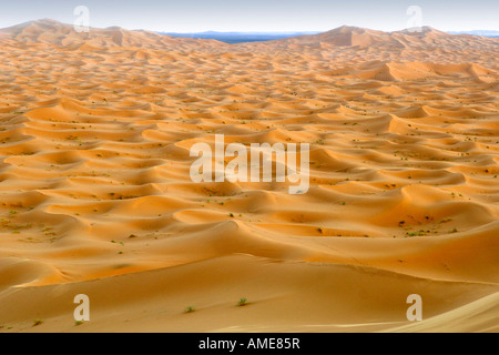 Die Sanddünen des Erg Chebbi in der Nähe der Stadt Merzouga am Rande der Sahara im östlichen Marokko. Stockfoto