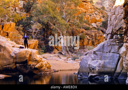 Wasserloch, Larapinta Trail, Zentral-Australien Stockfoto
