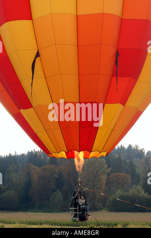 Heißluftballon erhebt sich über einer Wiese. Stockfoto