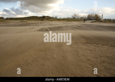 Windumtosten Landschaft am Strand Stockfoto