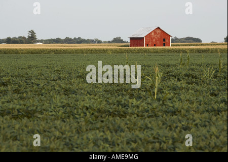 Alte Scheune Stockfoto