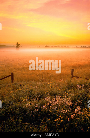 Sonnenaufgang und Nebel über Feld Süd-Ontario, Kanada Stockfoto