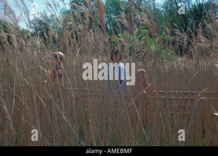 Menschen Kreuzung Promenade durch Feuchtgebiete im Röhricht WWT Arundel West Sussex Stockfoto