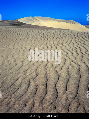 Blick auf Playa de Maspalomas Wanderdünen auf der Kanarischen Insel Stockfoto