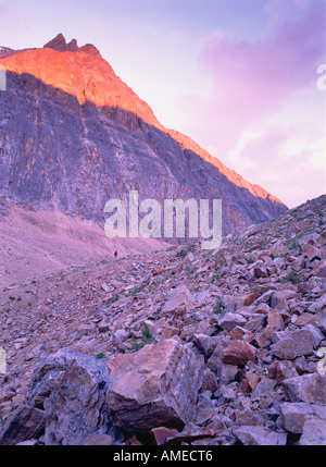 Pfad der Gletscherlehrpfad, Mt. Edith Cavell, Jasper Nationalpark, Alberta, Kanada Stockfoto