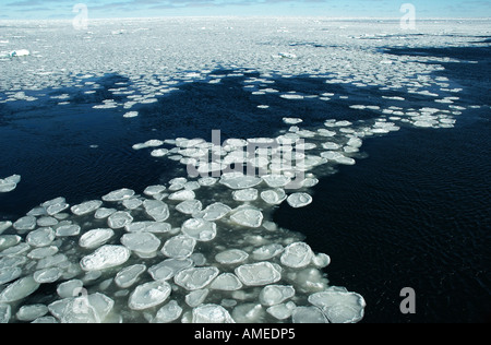 Antarktis Gebiet der Pfannkuchen-Eis, Antarktis Stockfoto