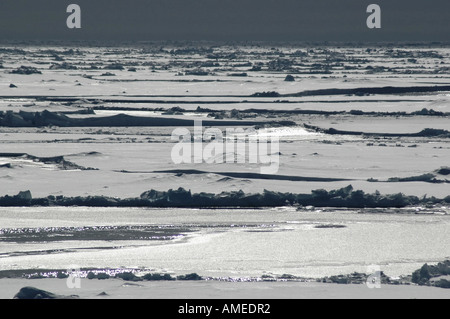 Antarktische Packeis im Gegenlicht, Antarktis Stockfoto