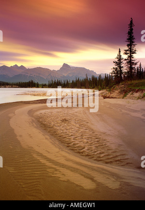 Kootenay Plains North Saskatchewan River, Kanada Stockfoto