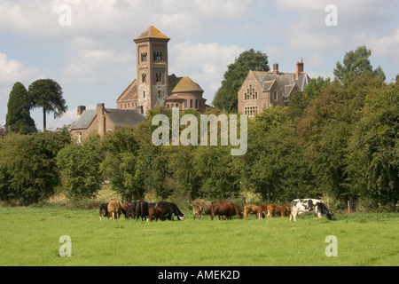 Vieh mit St Catherine s Kapelle in Hoarwithy im Hintergrund Stockfoto