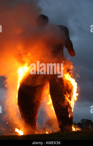 Brennen der feierlichen Wicker Man am Archaeolink in Aberdeenshire, Schottland, Vereinigtes Königreich Stockfoto