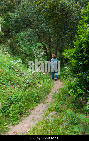 La Gomera, Kanarische Inseln. Frau zu Fuß entlang Waldweg in der Nähe von Epina am Rande des Parc Nacional de Garajonay Stockfoto