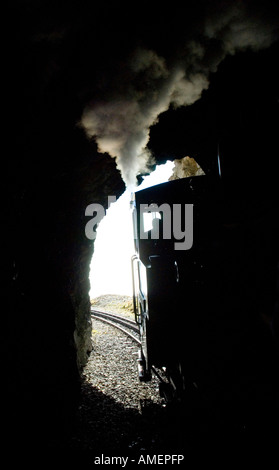 Mountain Train Rothorn Bahn zwischen Brienz und Brienzer Rothorn s Peak Alpen der Schweiz Stockfoto