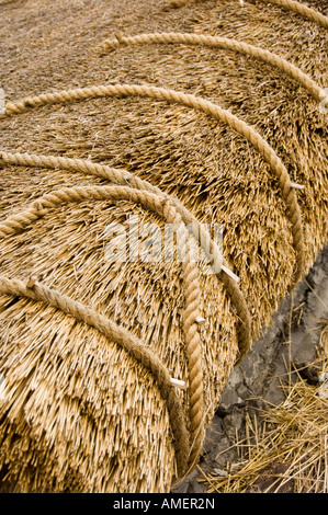 Detail der kleine strohgedeckte Hütte Dachsanierung im traditionellen Stil mit dekorativen Seil Arbeit Llanon Ceredigion Wales Welsch Stockfoto