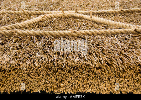 Detail der Arbeit am Seil auf einem Strohdach auf einer Hütte im Llanon Dorf Ceredigion wales Stockfoto