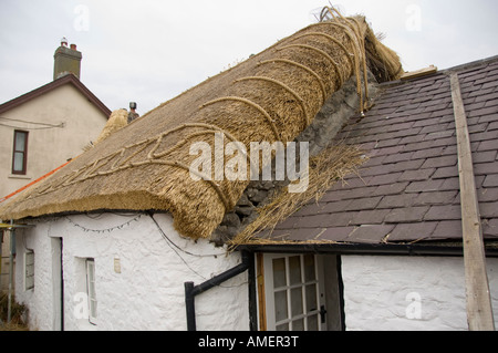 kleines Häuschen strohgedeckten Dachsanierung im traditionellen Stil Llanon Ceredigion walisische Oktober 2007 - neben ein Dach mit Schiefer auf Stockfoto