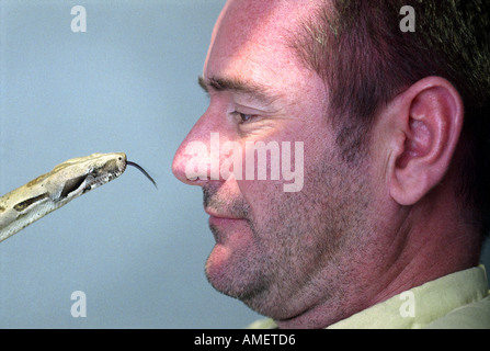 NIGEL MARVEN, DIE ITV PROGRAMM RIESEN ABGEBILDET MIT EINER GEMEINSAMEN BOA CONSTRICTOR AUF DER HTV-STUDIOS IN BRISTOL UK NOV PRÄSENTIERT Stockfoto