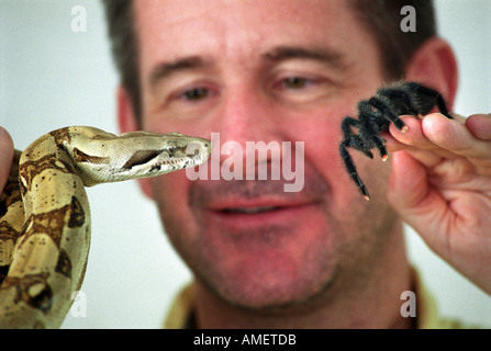 NIGEL MARVEN, DIE ITV PROGRAMM RIESEN ABGEBILDET MIT EINEM ROSA TOED TARANTULA UND EINE GEMEINSAME BOA CONSTRICTOR BEI DER HTV PRÄSENTIERT Stockfoto