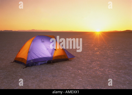 Zelt in der Wüste bei Sonnenuntergang Nevada, USA Stockfoto