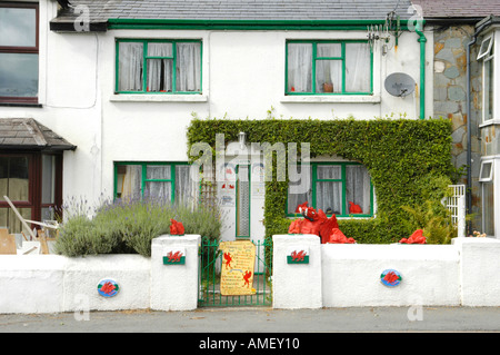 Das Drachen-Haus im Dorf von Ponterwyd Ceredigion Wales UK Stockfoto