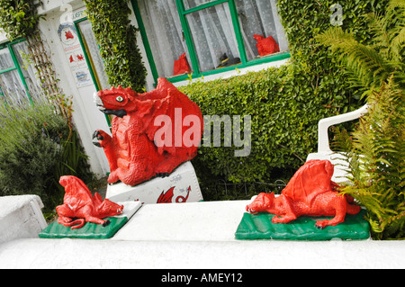 Das Drachen-Haus im Dorf von Ponterwyd Ceredigion Wales UK Stockfoto