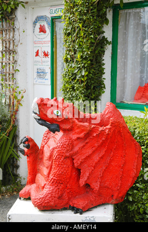 Das Drachen-Haus im Dorf von Ponterwyd Ceredigion Wales UK Stockfoto