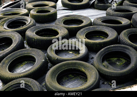 Verschimmelte Reifen halten Sie schwarze Kunststoffabdeckung Silage Klemmen Bauernhof UK Stockfoto