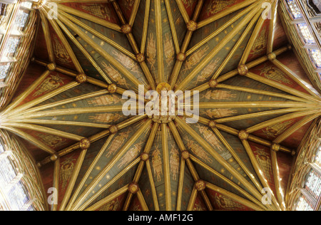 Ely Kathedrale Cambridgeshire Laterne Turm Decke Stockfoto