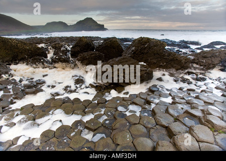 Des Riesen Causway, Antrim, Nordirland Stockfoto