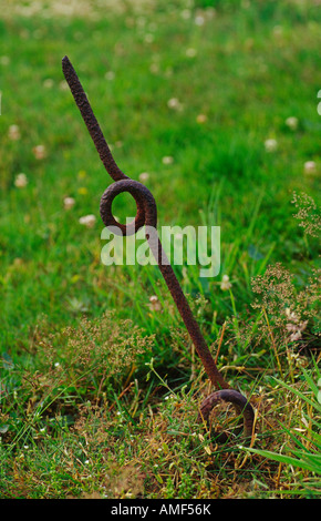 Stacheldraht Streikposten bei Neufundland Memorial Park Somme France Stockfoto