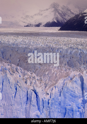 Übersicht der Perito Moreno Gletscher Gletscher verloren Glaciares Nationalpark, Patagonien, Argentinien Stockfoto