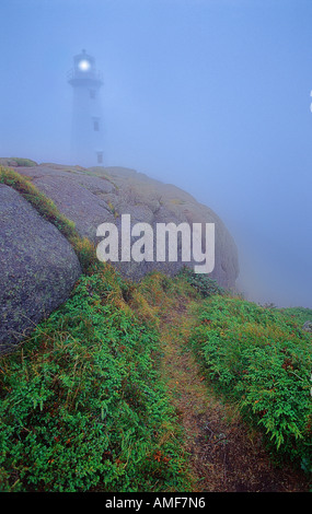 Leuchtturm am Cape Spear in Nebel, Neufundland und Labrador, Kanada Stockfoto