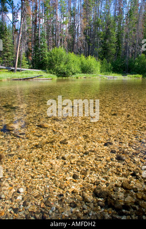 Klare Wasser des Auslasses Alturas See in die Sawtooth National Recreation Area von Idaho. Stockfoto