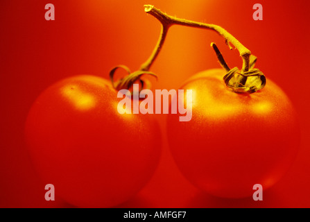 Rote Tomaten Stockfoto