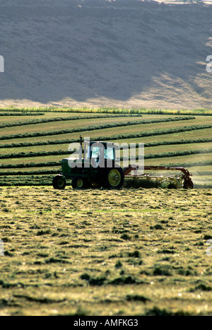 Ein Traktor Rechen geerntete Heu im Grandview, Idaho. Stockfoto