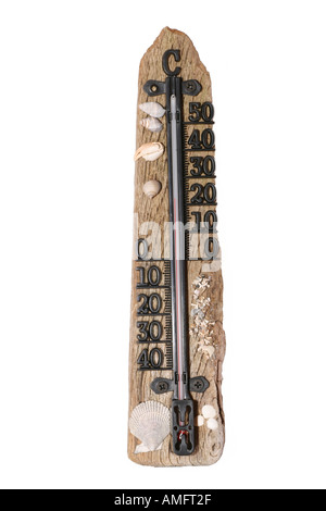Thermometer und Muscheln auf einem Stück Treibholz Stockfoto
