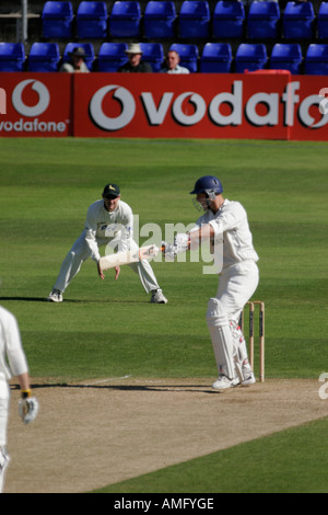 Hampshire C.C.C. Batting gegen Glamorgan County Cricket Club, Sophia Gärten, Cardiff, Wales, Großbritannien - 17. September 2005. Stockfoto