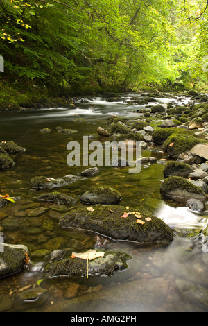 Fluß Rothay zwischen Rydal Wasser und Grasmere Seenplatte, Cumbria Stockfoto