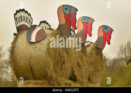 Puten zu verkaufen Schild am Bauernhof Shop england Stockfoto