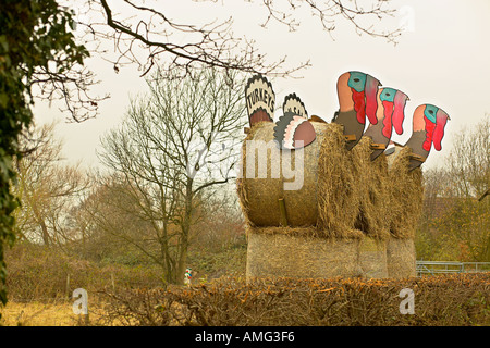 Puten zu verkaufen Schild am Bauernhof Shop england Stockfoto