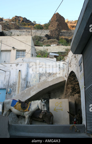 Santorin, Griechenland - Der alte Hafen Santorini auf der Vulkaninsel Santorin. 10. Juli 2004. Foto: Bikem Ekberzade Stockfoto