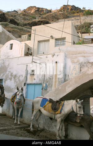 Santorin, Griechenland - Der alte Hafen Santorini auf der Vulkaninsel Santorin. 10. Juli 2004. Foto: Bikem Ekberzade Stockfoto