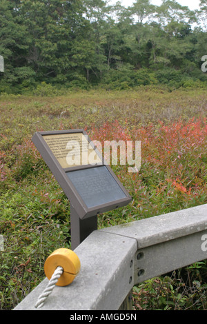 Cape Cod September 2007 Stockfoto