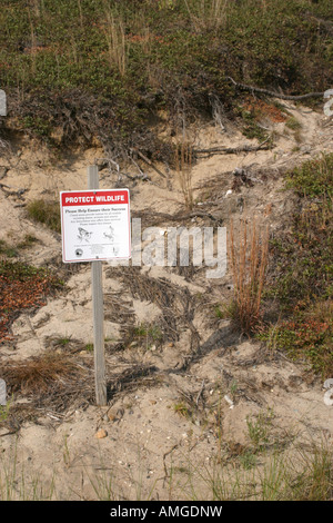 Cape Cod September 2007 Stockfoto