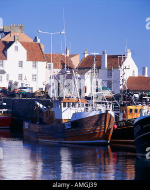 Holmes, Pittenweem Hafen, East Neuk of Fife, Fife, Schottland, UK Stockfoto