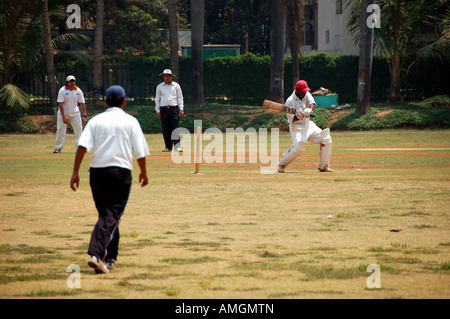 Männer spielen Cricket auf ovale Maiden in Mumbai, Indien Stockfoto