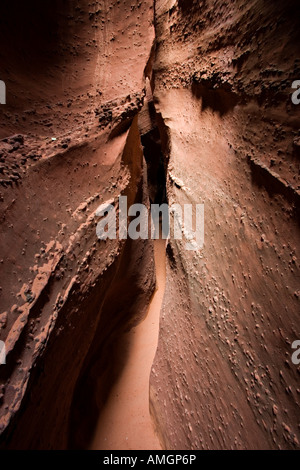 Sandstein Narrows in Spooky Gulch in der Nähe von Escalante in Grand Treppe Nationaldenkmal Utah USA Stockfoto