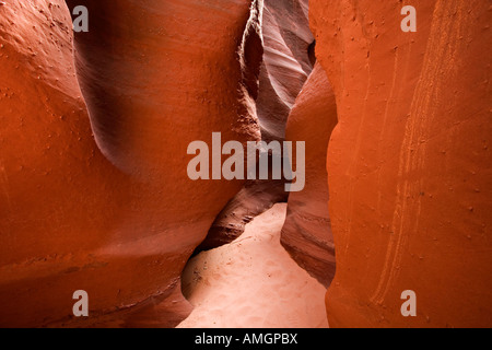 Sandstein Narrows in Spooky Gulch in der Nähe von Escalante in Grand Treppe Nationaldenkmal Utah USA Stockfoto