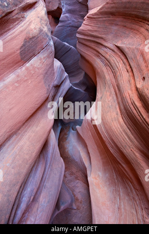 Sandstein verengt in Peek einen Boo Slotcanyon in der Nähe von Escalante in Grand Treppe Nationaldenkmal Utah USA Stockfoto