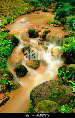 Strom von Eisen Gewässer in Terra Nostra Park Furnas Sao Miguel Island Azoren Portugal Stockfoto